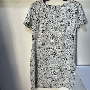 Calvin Klein women’s Size 14 Dress, Short Sleeves